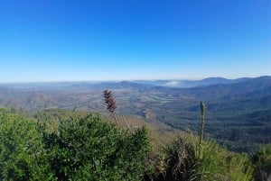 Pangue-dalen: Privat tur med vinprovning på vingården Viña Lopez Pangue