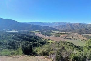 Pangue-dalen: Privat tur med vinprovning på vingården Viña Lopez Pangue