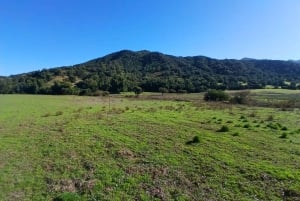 Pangue-dalen: Privat tur med vinprovning på vingården Viña Lopez Pangue