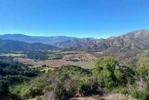 Pangue-dalen: Privat tur med vinprovning på vingården Viña Lopez Pangue