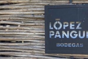Pangue-dalen: Privat tur med vinprovning på vingården Viña Lopez Pangue