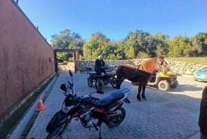 Pangue-dalen: Privat tur med vinprovning på vingården Viña Lopez Pangue