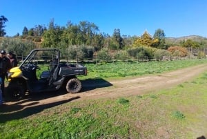 Pangue-dalen: Privat tur med vinprovning på vingården Viña Lopez Pangue