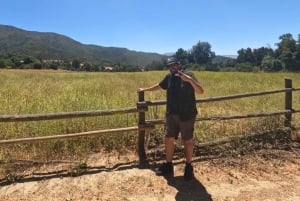 Pangue-dalen: Privat tur med vinprovning på vingården Viña Lopez Pangue