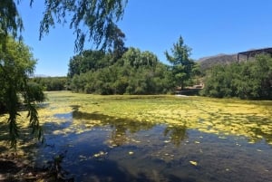 Pangue-dalen: Privat tur med vinprovning på vingården Viña Lopez Pangue