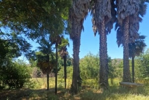 Pangue-dalen: Privat tur med vinprovning på vingården Viña Lopez Pangue