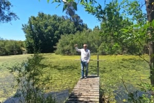 Pangue-dalen: Privat tur med vinprovning på vingården Viña Lopez Pangue