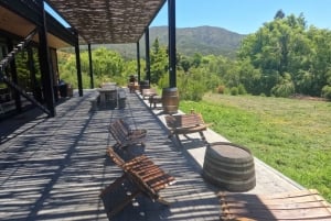 Pangue-dalen: Privat tur med vinprovning på vingården Viña Lopez Pangue