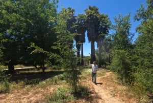 Pangue-dalen: Privat tur med vinprovning på vingården Viña Lopez Pangue