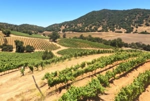 Pangue-dalen: Privat tur med vinprovning på vingården Viña Lopez Pangue