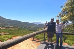 Pangue-dalen: Privat tur med vinprovning på vingården Viña Lopez Pangue