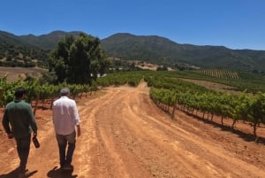 Pangue-dalen: Privat tur med vinprovning på vingården Viña Lopez Pangue