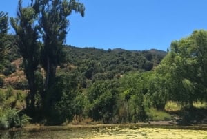 Pangue-dalen: Privat tur med vinprovning på vingården Viña Lopez Pangue