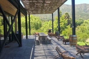 Pangue-dalen: Privat tur med vinprovning på vingården Viña Lopez Pangue