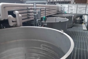 Pangue-dalen: Privat tur med vinprovning på vingården Viña Lopez Pangue