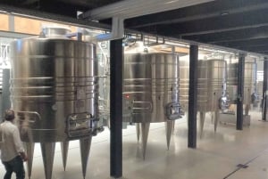 Pangue-dalen: Privat tur med vinprovning på vingården Viña Lopez Pangue