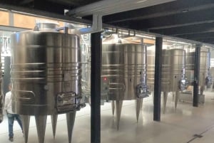 Pangue-dalen: Privat tur med vinprovning på vingården Viña Lopez Pangue