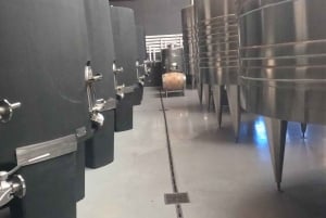 Pangue-dalen: Privat tur med vinprovning på vingården Viña Lopez Pangue