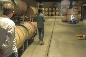 Pangue-dalen: Privat tur med vinprovning på vingården Viña Lopez Pangue