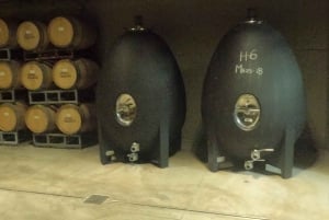 Pangue-dalen: Privat tur med vinprovning på vingården Viña Lopez Pangue