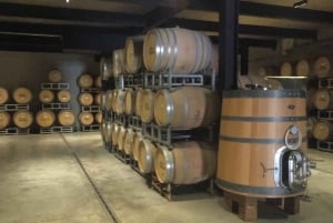 Pangue-dalen: Privat tur med vinprovning på vingården Viña Lopez Pangue