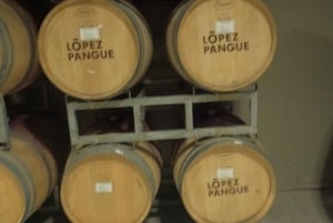 Pangue-dalen: Privat tur med vinprovning på vingården Viña Lopez Pangue