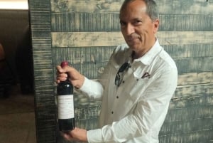 Pangue-dalen: Privat tur med vinprovning på vingården Viña Lopez Pangue