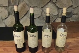 Pangue-dalen: Privat tur med vinprovning på vingården Viña Lopez Pangue