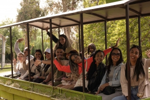 Parque Safari: Wild Adventure Up Close with Amazing Animals