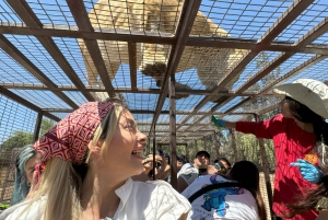 Parque Safari: Wild Adventure Up Close with Amazing Animals