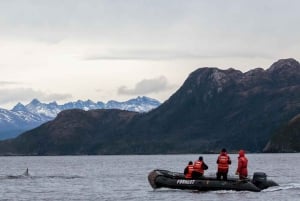 Patagonien-äventyr: Valar och glaciärer från Punta Arenas