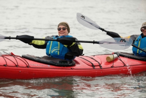 Patagonia: Kajakktur i Puerto Natales med piknik
