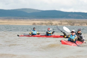 Patagonia: Kajakktur i Puerto Natales med piknik