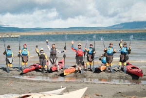 Patagonia: Kajakktur i Puerto Natales med piknik