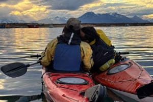 Patagonia: Kajakktur i Puerto Natales med piknik