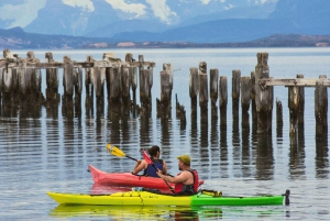 Patagonia: Kajakktur i Puerto Natales med piknik