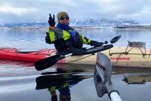 Patagonia: Kajakktur i Puerto Natales med piknik