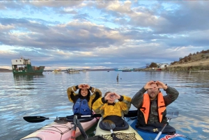 Patagonia: Kajakktur i Puerto Natales med piknik