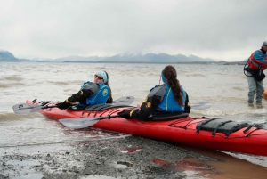 Patagonia: Kajakktur i Puerto Natales med piknik
