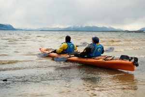 Patagonia: Kajakktur i Puerto Natales med piknik