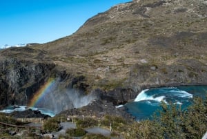 Heldag i Torres del Paine + Cueva del Milodon