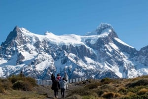Heldag i Torres del Paine + Cueva del Milodon