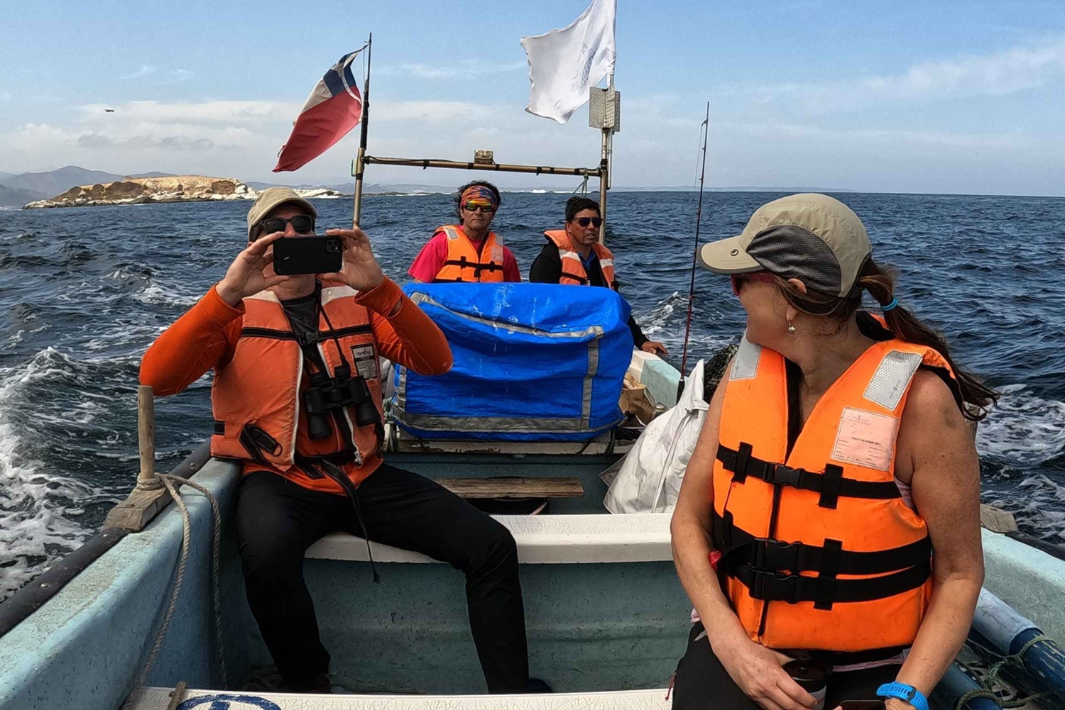 Pinguins em embarcação privada Cachagua Zapallar a partir de Santiago