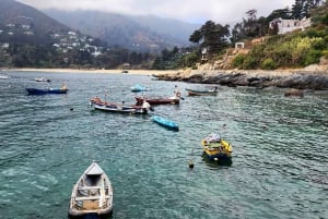 Pingviner med privat fartyg Cachagua Zapallar från Valparaiso