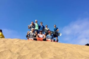 Penguins, Sea Lions, Sandboard, Chilean food & Drinks