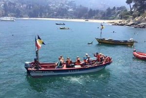 Pingouins, lions de mer, planche à voile, nourriture et boissons chiliennes