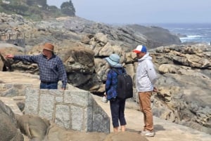 Pingouins, lions de mer, planche à voile, nourriture et boissons chiliennes
