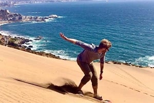 Pingouins, lions de mer, planche à voile, nourriture et boissons chiliennes