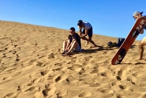 Pingouins, lions de mer, planche à voile, nourriture et boissons chiliennes