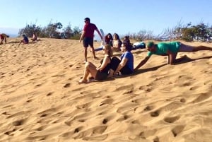 Pingouins, lions de mer, planche à voile, nourriture et boissons chiliennes